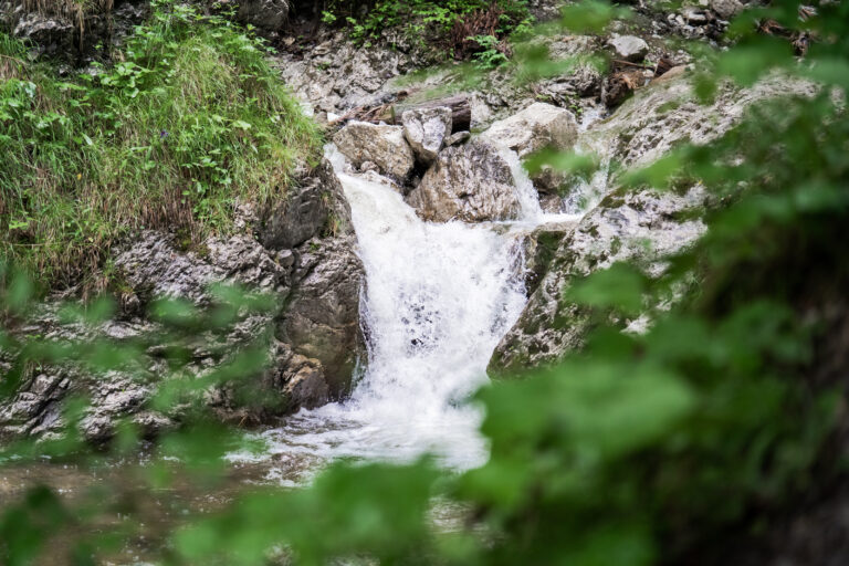 34 Hirschalpe Spieser